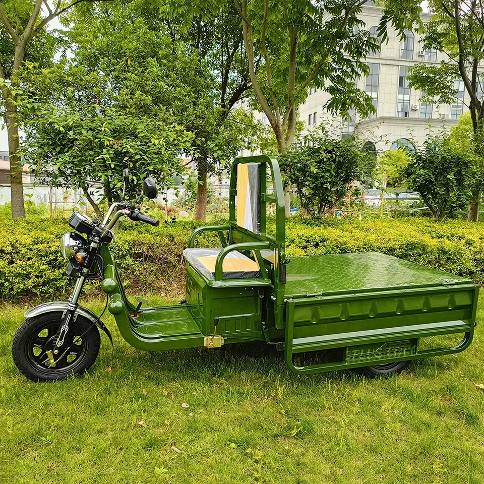 Triporteur électrique Cargo 500 -