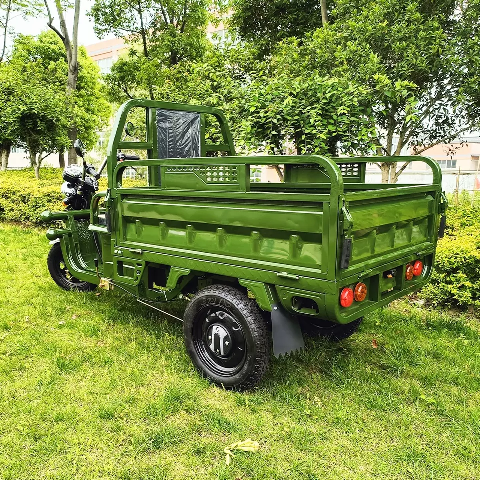 Triporteur électrique Cargo 500 -