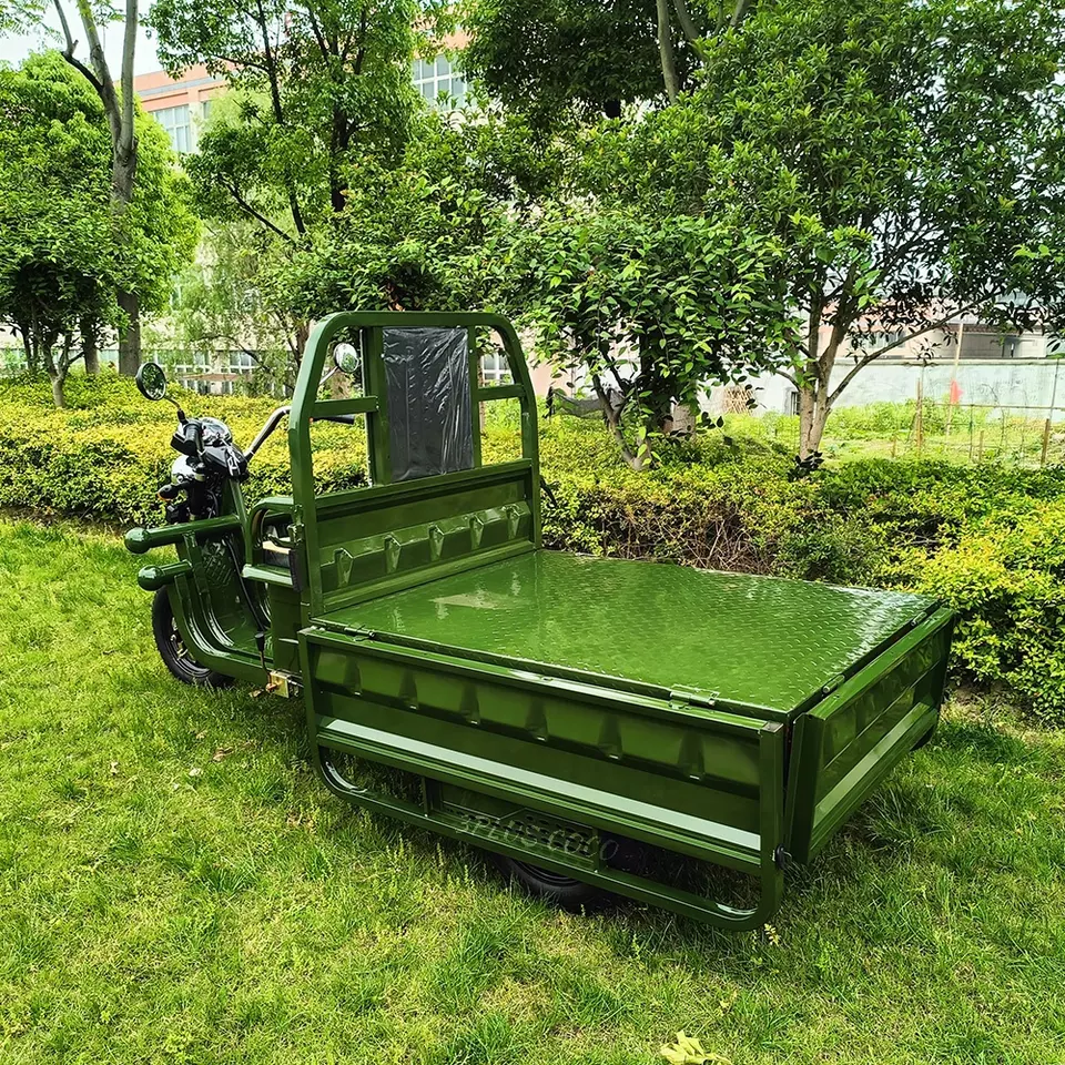 Triporteur électrique Cargo 500 -