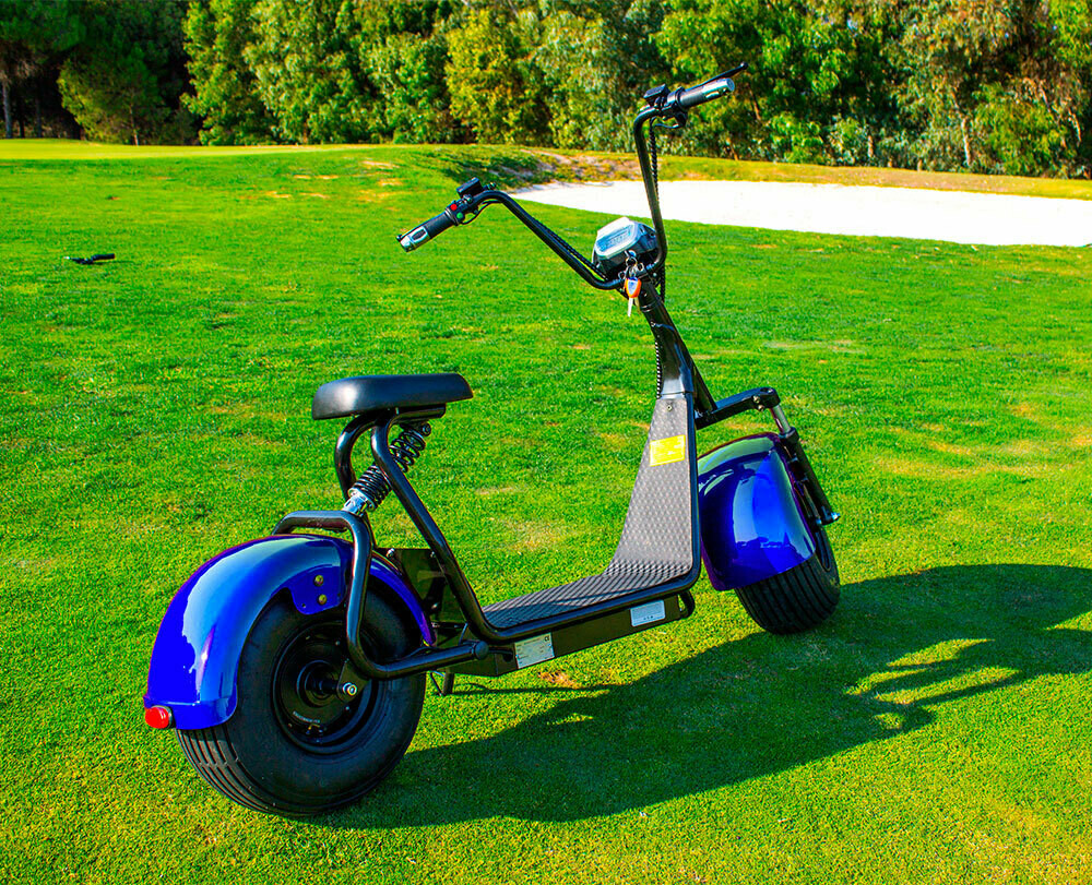 Scooter Électrique Mini City Coco Beach