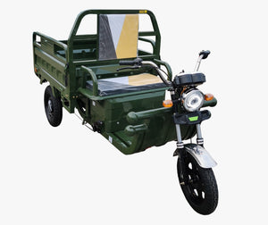 Triporteur Tricyle Electrique Cargoo 500 - Homologué Route - Livraison lente