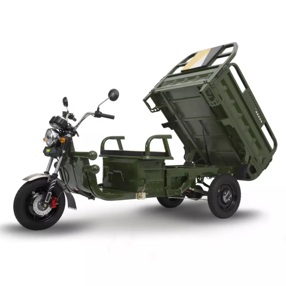 Triporteur Tricyle Electrique Cargoo 500 - Homologué Route - Livraison lente
