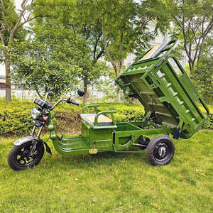 Triporteur électrique Cargo 500 -