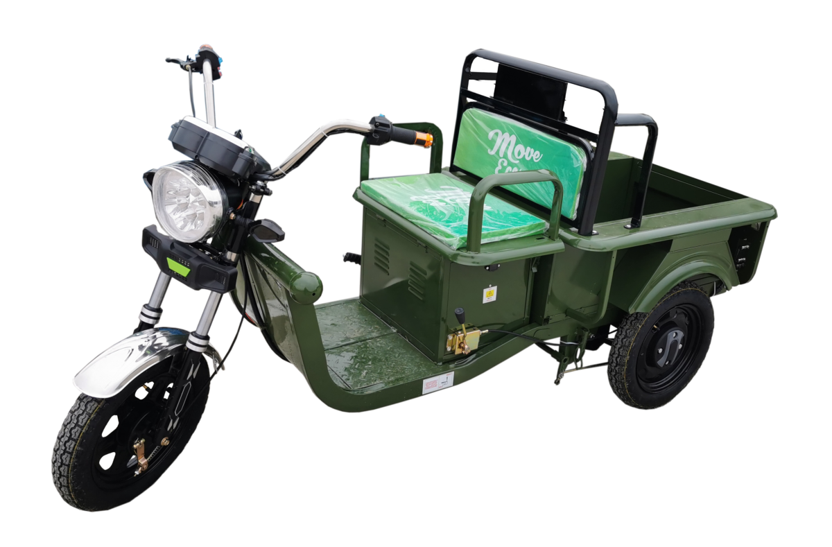 Triporteur électrique Cargo 250