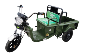 Triporteur électrique Cargo 250