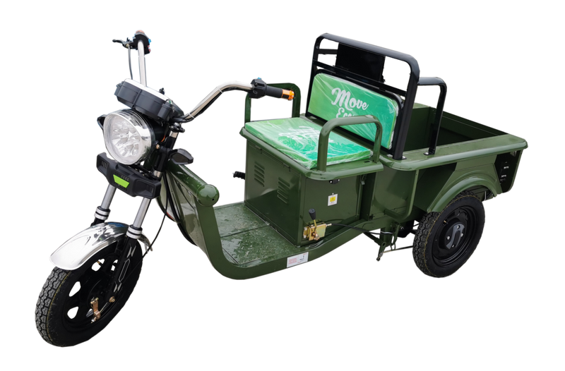Triporteur électrique Cargo 250