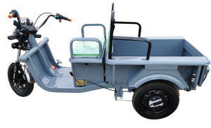 Triporteur électrique Cargo 250