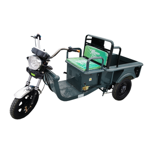Triporteur électrique Cargo 250