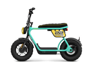 Scooter Electrique Coopop 50cc - Homologué route