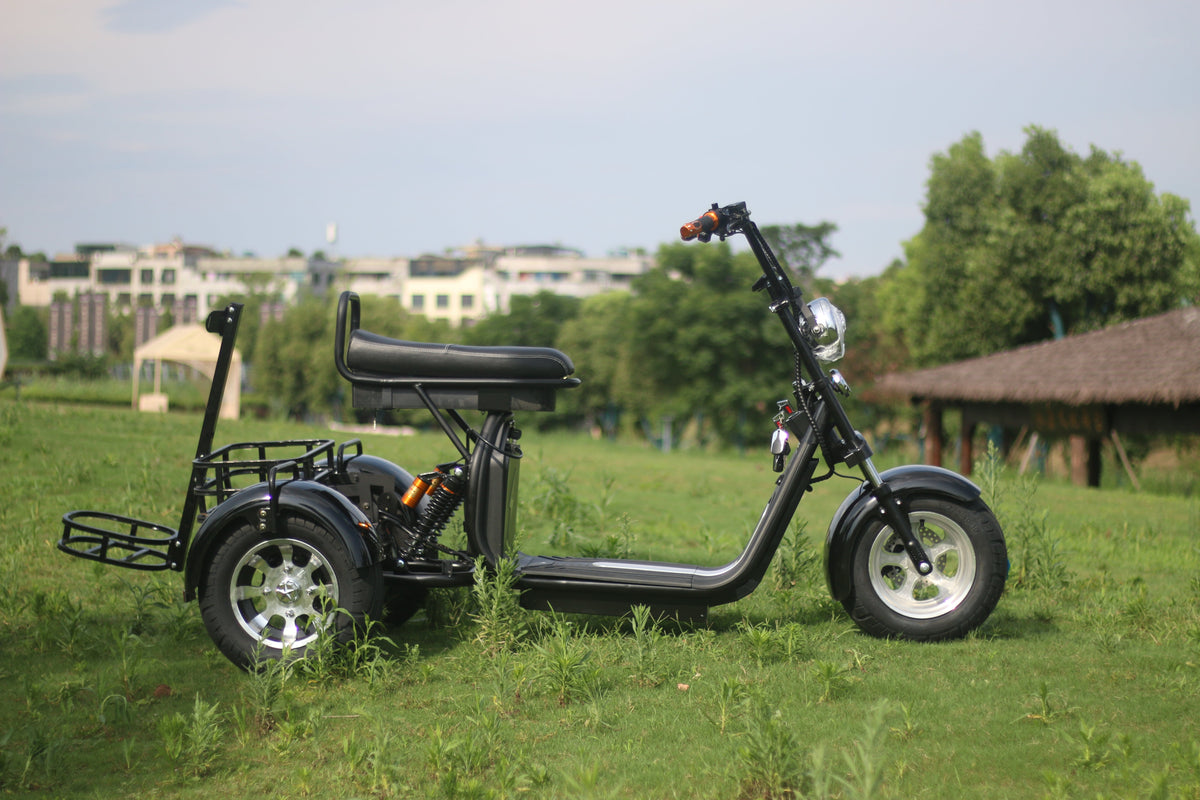 Trottinette Électrique Trois Roues Adulte - ZATE Trottinette Électrique Trois Roues Adulte - ZATE